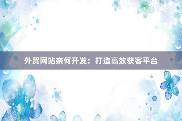 外贸网站奈何开发：打造高效获客平台